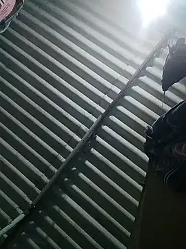 Tamilgud23 online show from November 16, 4:23 pm