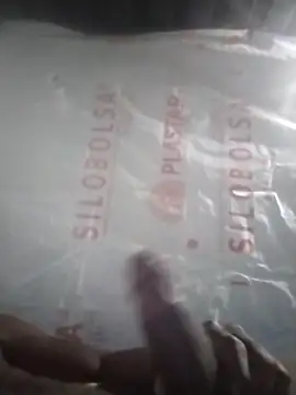 Kaygsy online show from January 7, 8:03 pm