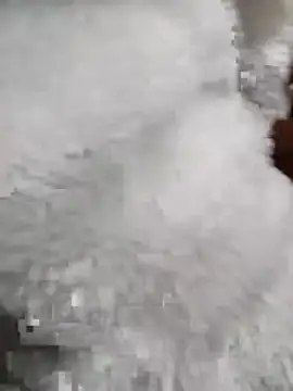 Tasu774 online show from November 26, 10:32 pm