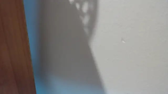 Pamela-StripX online show from April 30, 8:57 pm