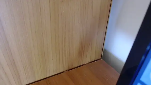 Pamela-StripX online show from March 3, 8:38 pm