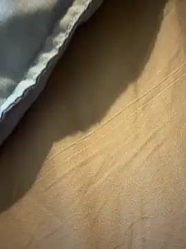 StudiedJoint85 online show from November 24, 5:02 pm