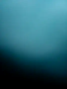 Bocuseart online show from December 5, 6:17 pm