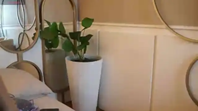 Tayler Kim online show from November 7, 3:38 pm