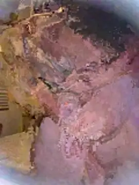 mrilikeitall online show from February 12, 5:40 am