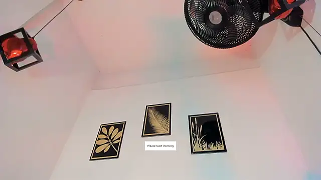 criss zuri online show from March 7, 12:54 pm