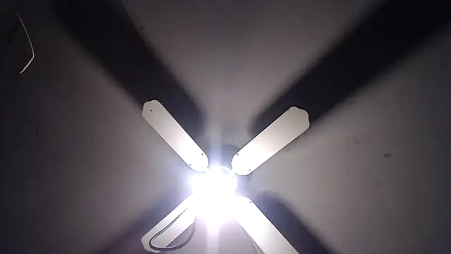 BiglovelyXXL online show from November 23, 4:33 am