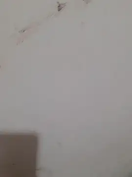 Sexy Mal89 online show from December 16, 5:28 pm