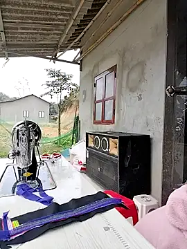 Tin tanny online show from February 3, 6:33 am