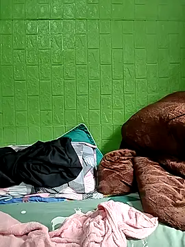 Tin tanny online show from November 14, 5:22 am