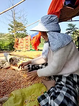 Tin tanny online show from November 26, 8:14 am