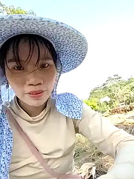 Tin tanny online show from November 29, 7:41 am