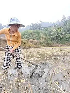 Tin tanny online show from December 5, 12:54 am