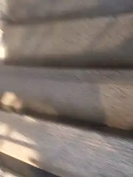 Bangladeshi Big male online show from September 29, 9:49 am