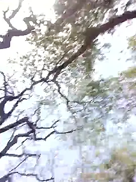 Hot rachnasexy online show from April 12, 6:05 am