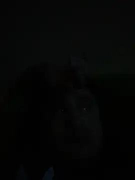 whitsblack online show from November 3, 11:52 pm