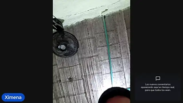 Cat Hot Party online show from November 4, 2:37 am