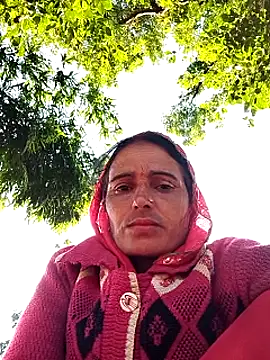 Jalebi bay online show from November 8, 2:15 am