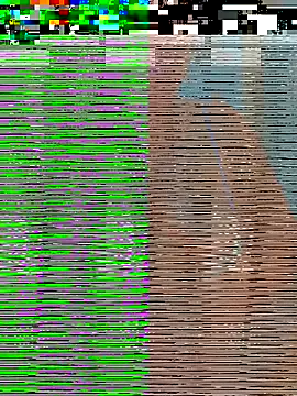 Jalebi bay online show from November 27, 10:16 am