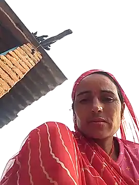 Jalebi bay online show from October 15, 2:21 am