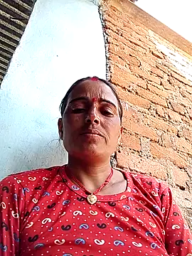 Jalebi bay online show from September 24, 8:54 am