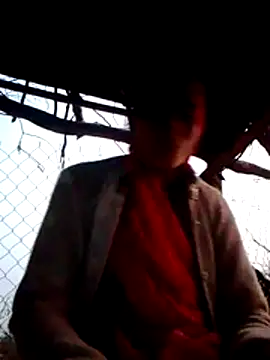 H seema online show from December 1, 12:17 pm