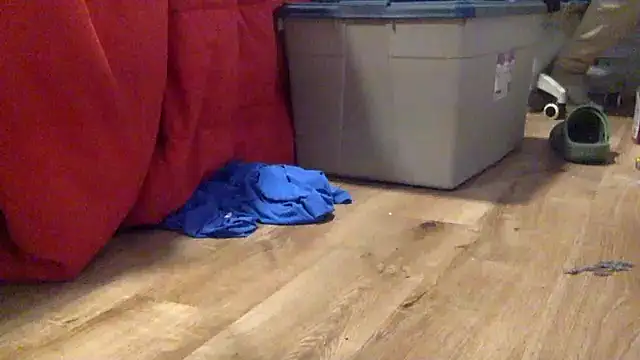 edger4lif3 online show from September 19, 4:33 pm