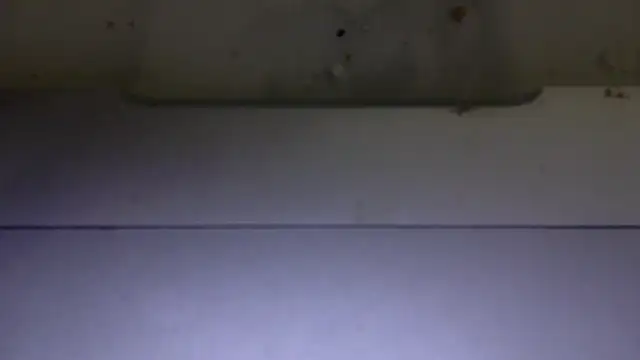 edger4lif3 online show from November 15, 6:56 pm