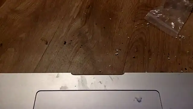 edger4lif3 online show from September 18, 4:15 am