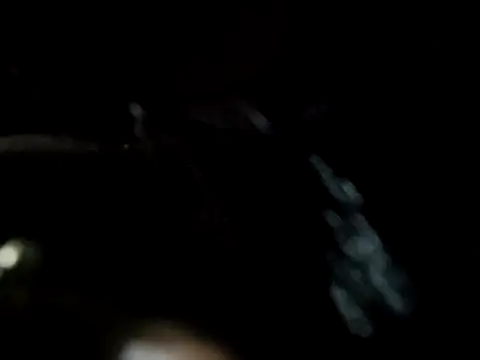 LUCKY cut online show from November 4, 4:00 pm