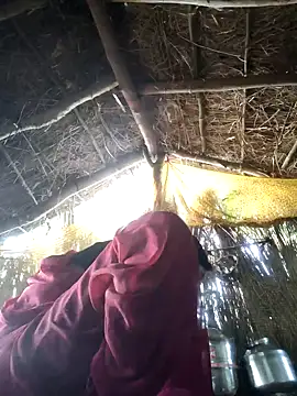 LUCKY cut online show from November 1, 2:29 am