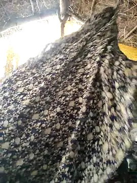 LUCKY cut online show from October 20, 3:08 am