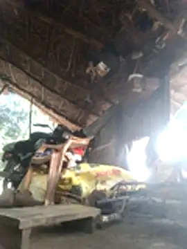 LUCKY cut online show from November 18, 2:27 am