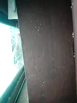 Snapshot of WildPayal chatting on November 14, 7:56 am WildPayal online show from November 14, 7:56 am