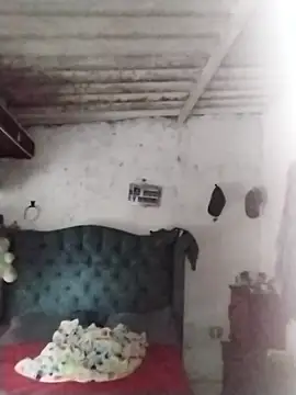  tetas 92 online show from January 15, 8:01 pm