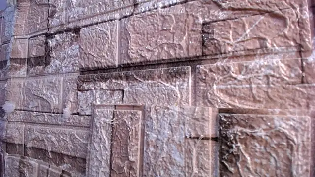 Bicky 24 online show from March 2, 7:59 am