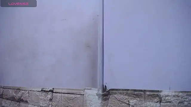 Bicky 24 online show from February 25, 9:20 am