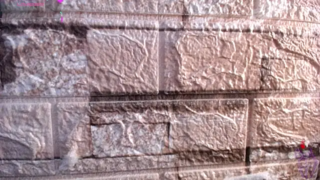 Bicky 24 online show from March 6, 9:26 am