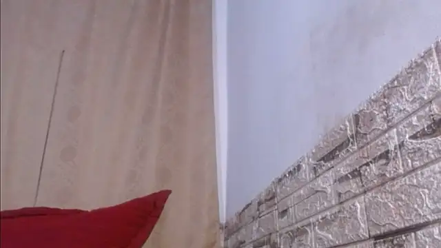 Bicky 24 online show from May 26, 8:56 am