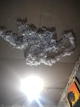 Efrain6996 online show from October 20, 12:02 am