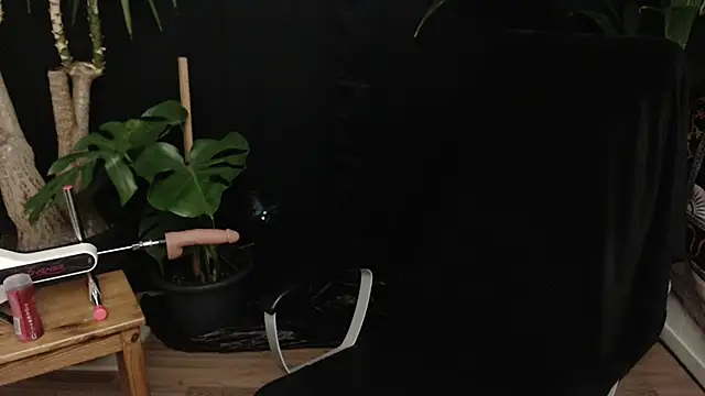 lola skyxh online show from November 10, 11:10 pm