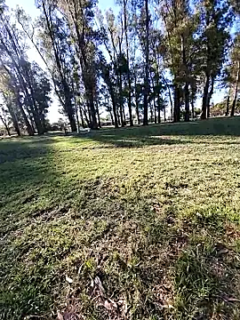 Almendrasexy online show from October 25, 8:53 pm