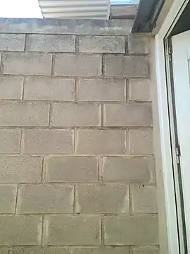 Almendrasexy online show from October 31, 5:09 pm