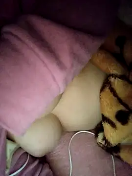 CHahed-5 online show from November 23, 3:38 am