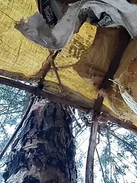 Snapshot of Janvi_Jaitly chatting on November 23, 1:15 am Janvi Jaitly online show from November 23, 1:15 am