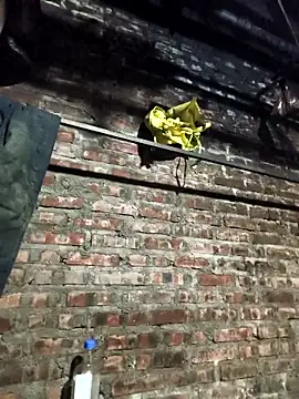 siki-00 online show from December 16, 11:47 am