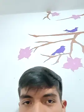 Snapshot of DavidVergagigante420 chatting on November 6, 4:11 pm DavidVergagigante420 online show from November 6, 4:11 pm