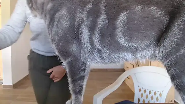 Missforever online show from March 23, 4:51 pm