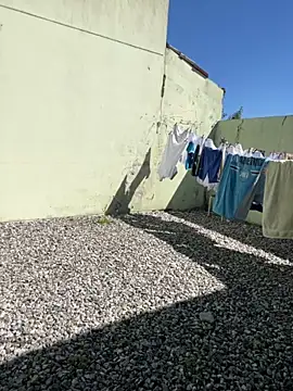 cat9269 online show from November 11, 6:03 pm