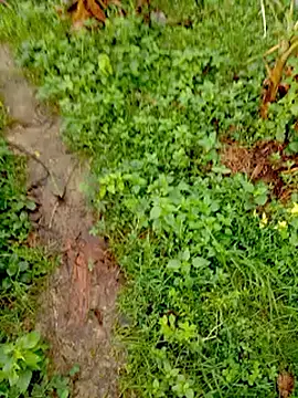 bigdaddyboy46 online show from September 12, 2:01 am